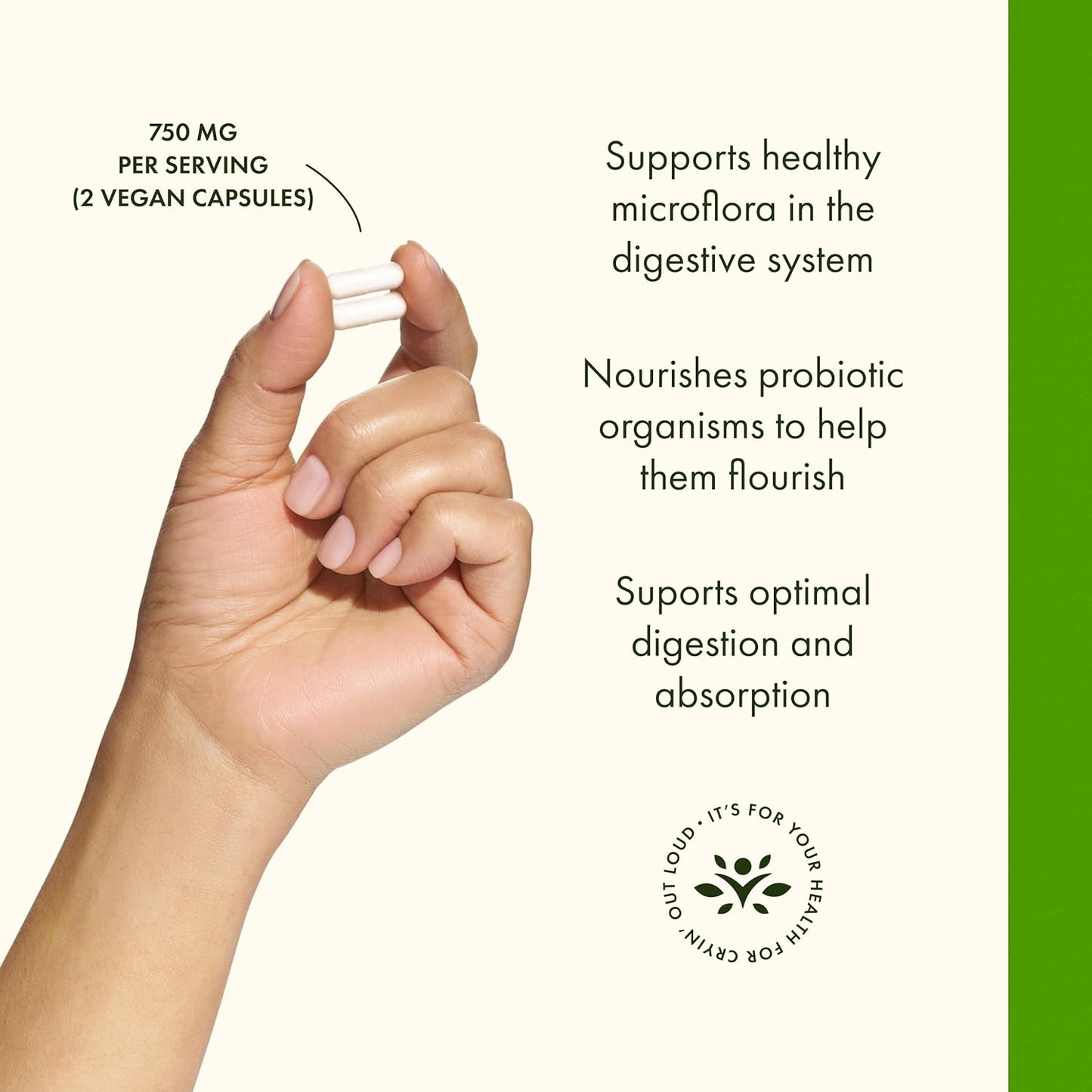 Swanson Prebiotic – Suporte para Flora Intestinal e Saúde Digestiva | 60 Cápsulas