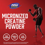 NOW Sports Nutrition Creatina Micronizada em Pó 500 g 119 doses