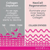 Ácido hialurônico NeoCell, hidratação diária para hidratação e suplementação da pele, 100 mg, 60 cápsulas