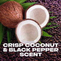 AXE Body Wash 12h Refrescante Aroma Excite Crisp Coconut & Black Pepper com Hidratantes 100% Vegetais 16 oz