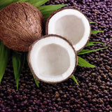 AXE Body Wash 12h Refrescante Aroma Excite Crisp Coconut & Black Pepper com Hidratantes 100% Vegetais 16 oz